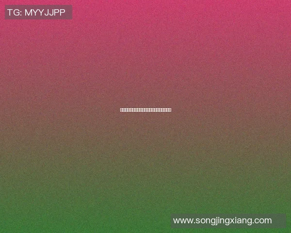 十一号足球明星现役球员的风采与成就全面解析