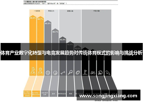 体育产业数字化转型与电竞发展趋势对传统体育模式的影响与挑战分析