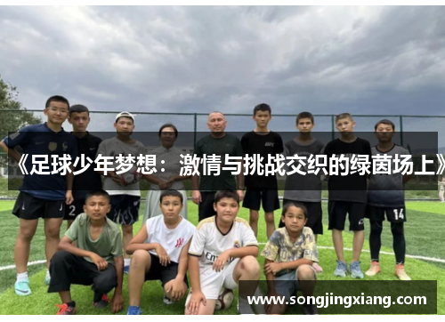 《足球少年梦想：激情与挑战交织的绿茵场上》