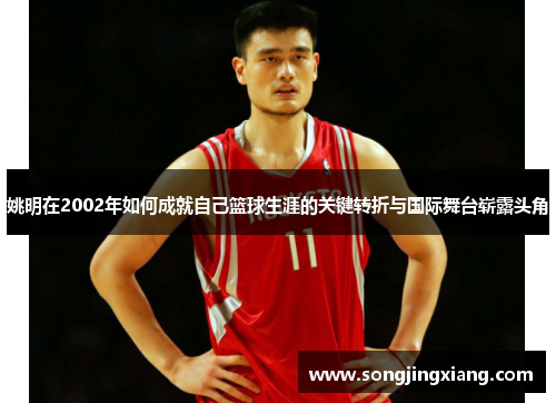 姚明在2002年如何成就自己篮球生涯的关键转折与国际舞台崭露头角