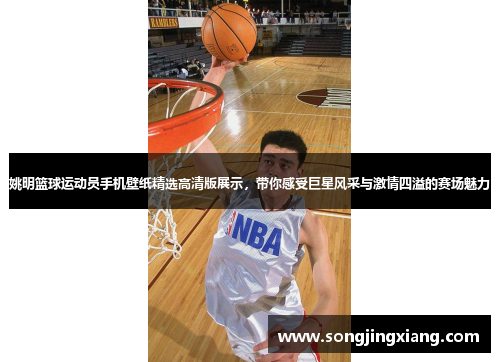 姚明篮球运动员手机壁纸精选高清版展示，带你感受巨星风采与激情四溢的赛场魅力