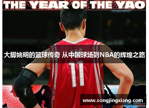 大脚姚明的篮球传奇 从中国球场到NBA的辉煌之路