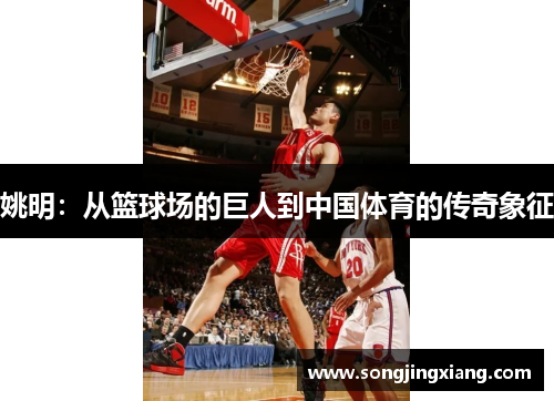 姚明：从篮球场的巨人到中国体育的传奇象征